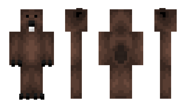 Minecraft skin PolishBober