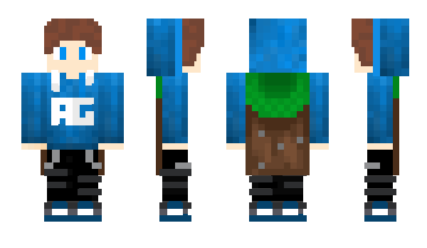 Minecraft скін по ніку AneewGamers