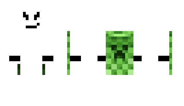 Minecraft skin Tuis