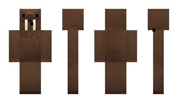 Minecraft skin ElusiveWalrus