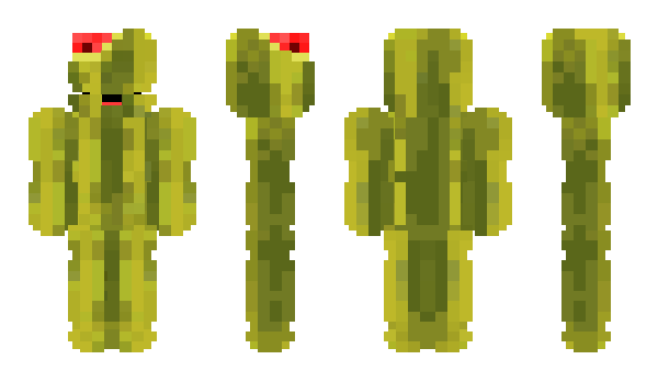 Minecraft skin goobka