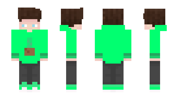 Minecraft skin Flylu11