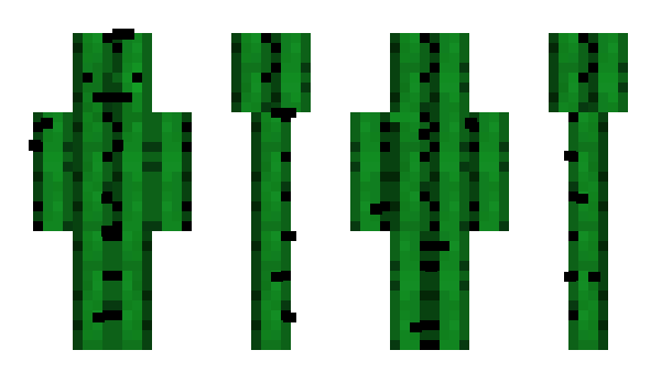 Minecraft skin Group_Cactus