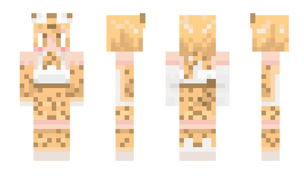 Minecraft skin Tackt