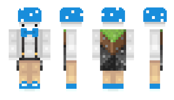 Minecraft skin Cjtr