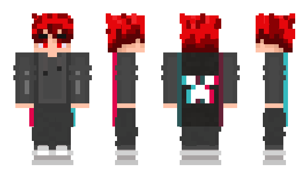 Minecraft skin robin7_