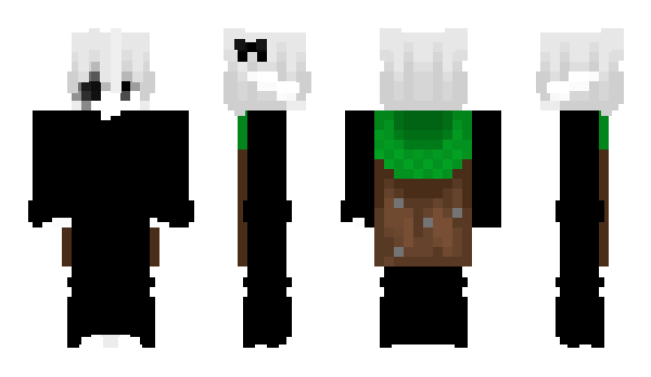 Minecraft скін по ніку Puticat