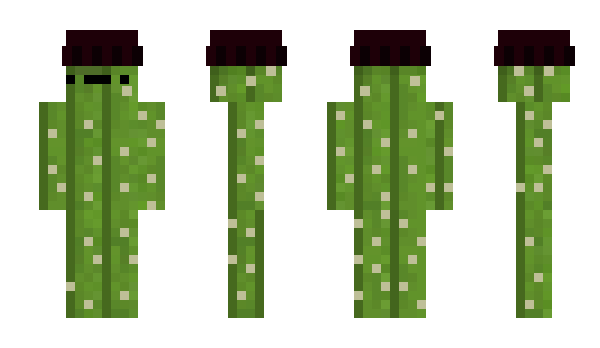 Minecraft skin CactusmanXDD