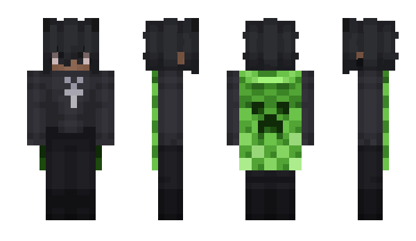 Minecraft skin _sna