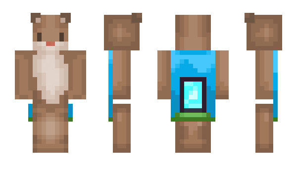 Minecraft skin OlympicHamster