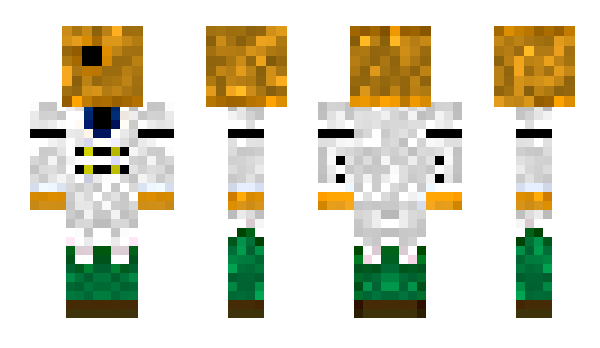 Minecraft skin Irii