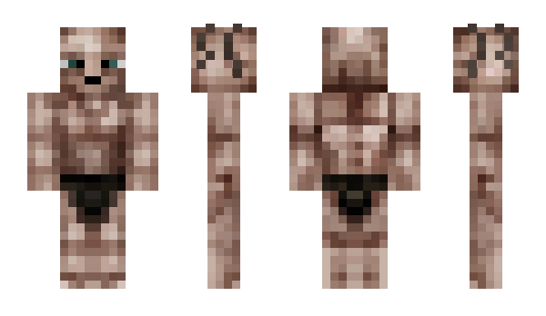 Minecraft skin Suezy