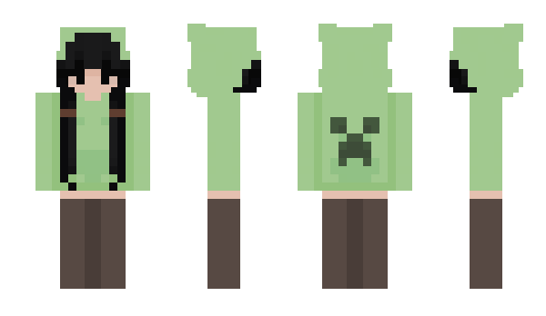 Minecraft skin pingits