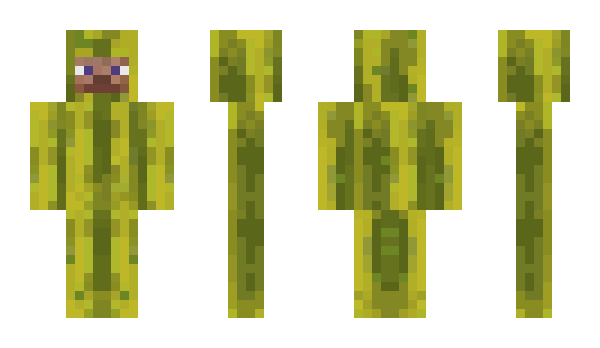 Minecraft skin meloniarz