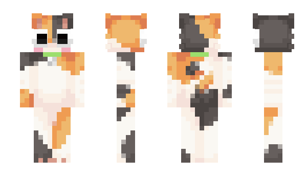 Minecraft skin Madlent