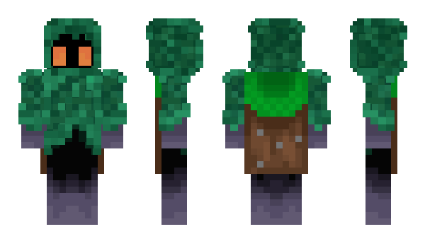 Minecraft скин по нику pishr