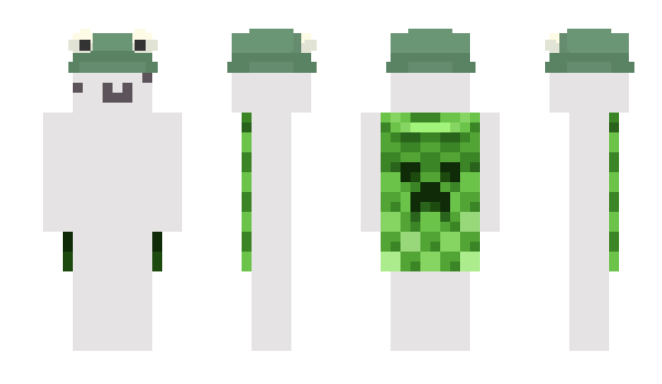 Minecraft skin matulicek