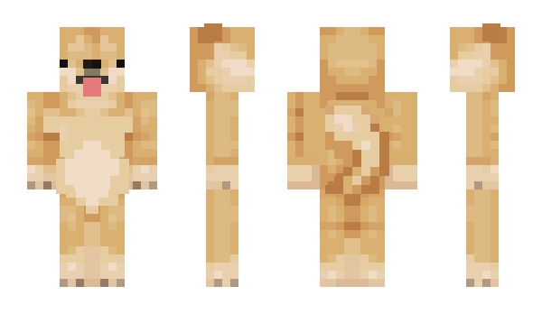 Minecraft skin Raita