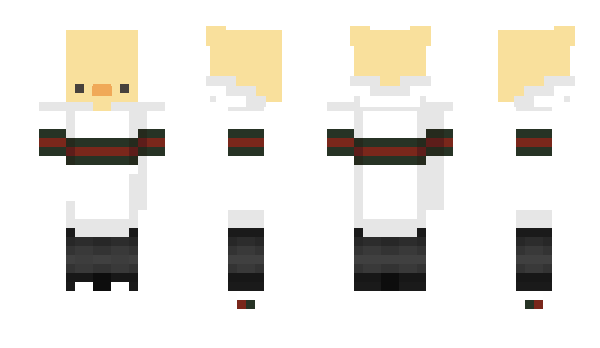 Minecraft skin 6ko