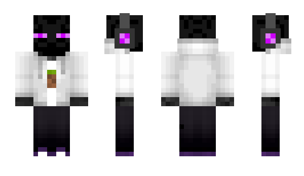 Minecraft skin fl1k