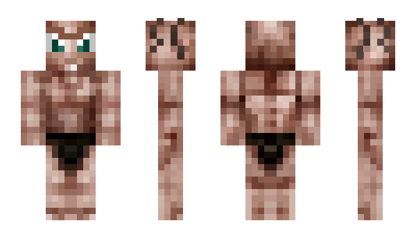 Minecraft skin Vamp_the_champ