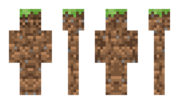 Minecraft skin Paker_