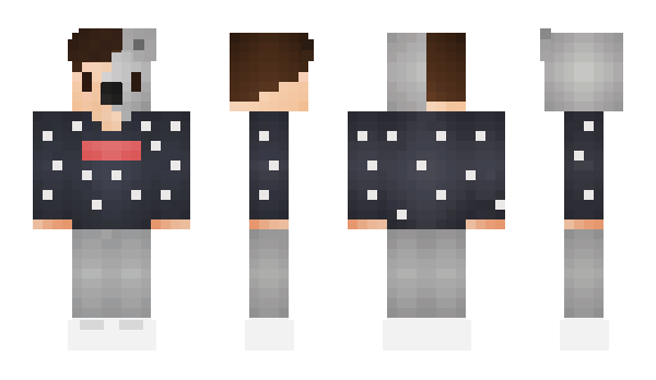 Minecraft skin Kinsch