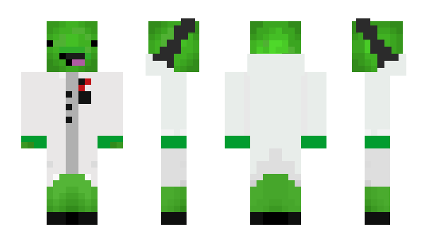 Minecraft skin Tardle