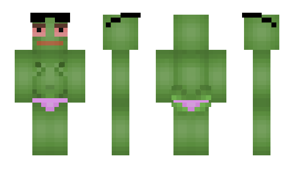 Minecraft скин по нику NoHeal