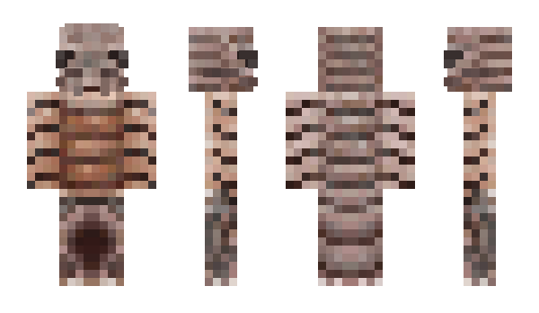 Minecraft skin AverageWalrus