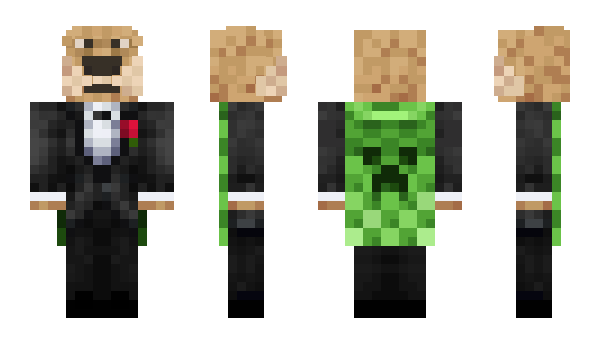 Minecraft скин по нику Sa_leo_