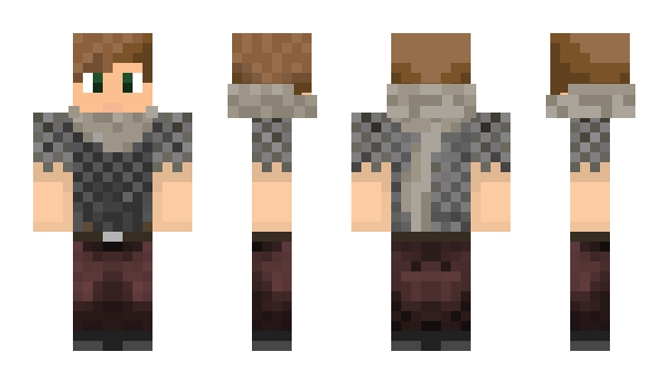 Minecraft skin MS133