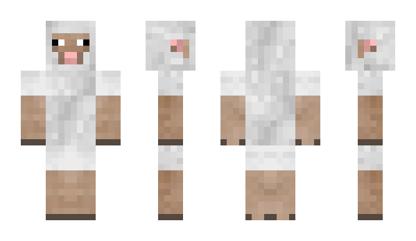 Minecraft skin ebc