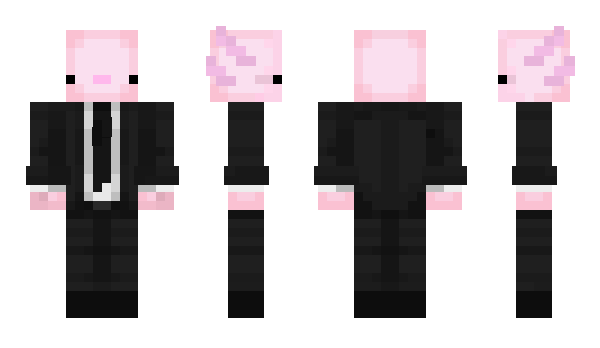 Minecraft skin camrman