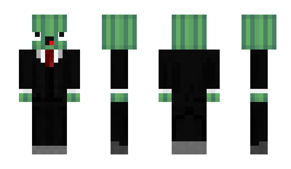 Minecraft skin ARBUZAK