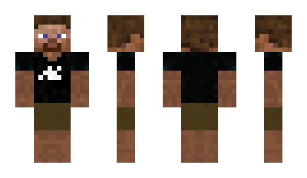 Minecraft skin nikoinlc