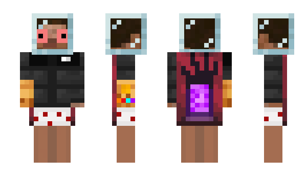 Minecraft skin passionist