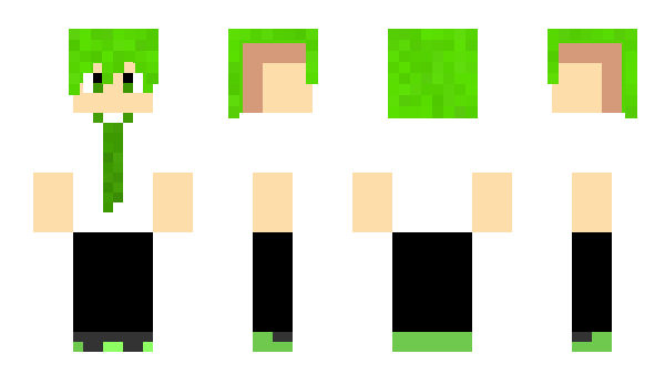 Minecraft skin thelastwing