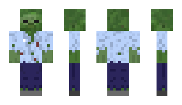 Minecraft skin Anyroth