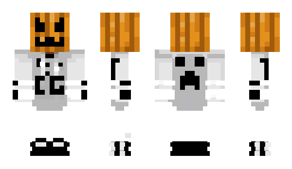 Minecraft skin N0rz