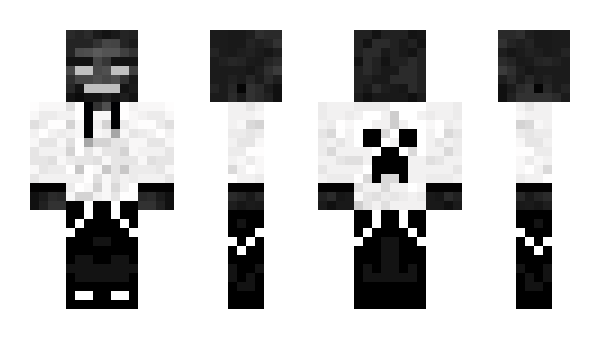 Minecraft skin t1cK3t