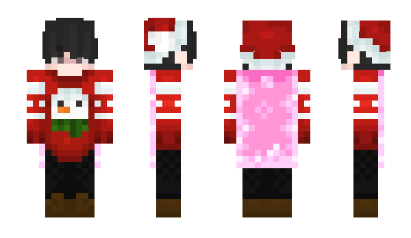 Minecraft skin Zonixs