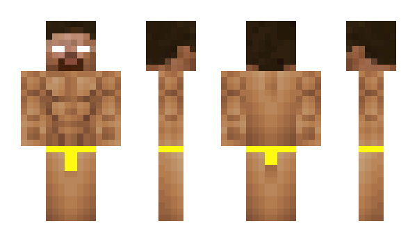 Minecraft skin escrim