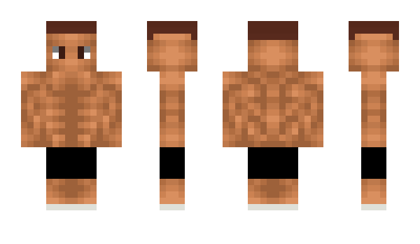 Minecraft skin Cvcx7993