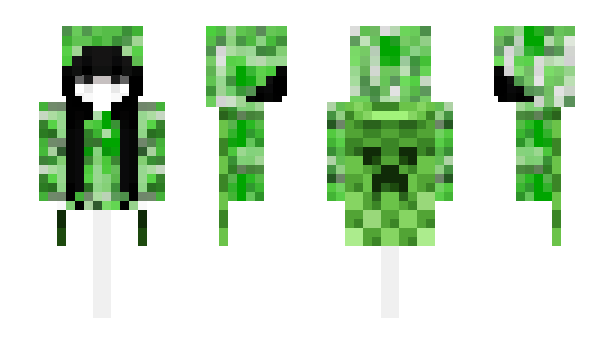 Minecraft skin kittyfight
