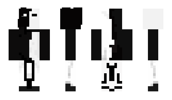 Minecraft skin Blacktowhite