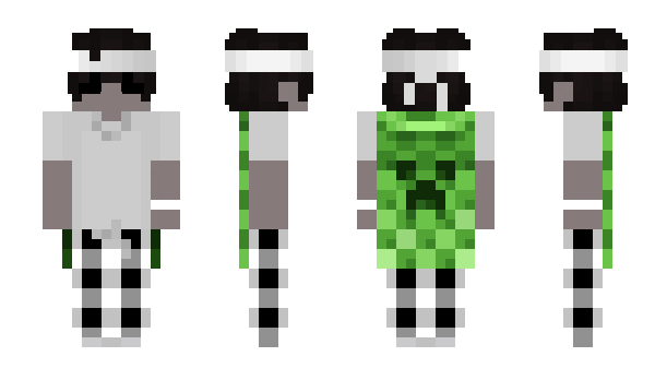 Minecraft skin pluctoo