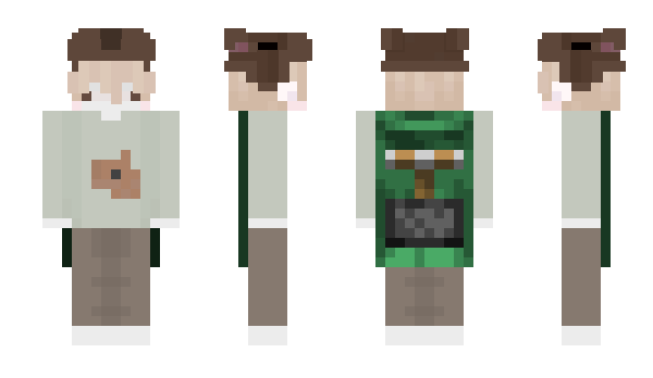 Minecraft skin a_capybara_