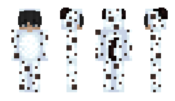 Minecraft skin DoggoAirlines