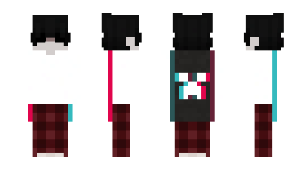 Minecraft skin internor